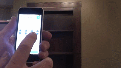 Murphy Hidden Door System