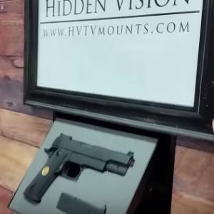 HIDDEN VISION Flip-Around Gun Storage