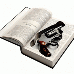 Bible Gun Safe: Hide Your Weapon In a Book