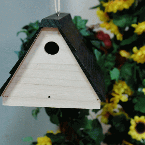 Birdhouse Hidden Spy Camera