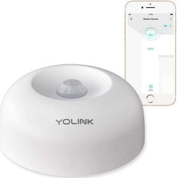YoLink LoRa Motion Sensor