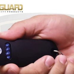 U-Guard Mini Stun Gun, Pepper Spray Keychain