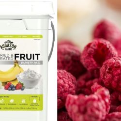 Augason Farms Freeze Dried & Dehydrated Fruit Variety Pail for Emergency Food