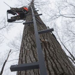 Rivers Edge RE730 Treestand Climbing System