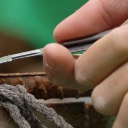 Tiflex Mini Titanium EDC Knife